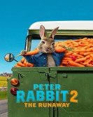 poster_peter-rabbit-2-the-runaway_tt8376234.jpg Free Download