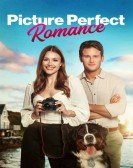 Picture Perfect Romance poster