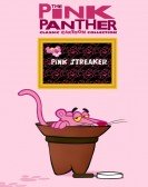 Pink Streaker poster