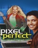 Pixel Perfect poster
