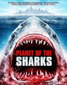 Planet of the Sharks Free Download