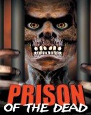 Prison of the Dead Free Download