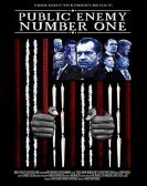 Public Enemy Number One Free Download