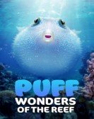 Puff: Wonders of the Reef Free Download