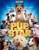 Pup Star Free Download