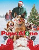 Pups Alone Free Download