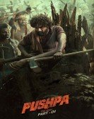 Pushpa: The Rise - Part 1 poster
