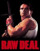 Raw Deal Free Download