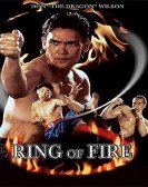 Ring of Fire poster