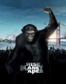 poster_rise-of-the-planet-of-the-apes_tt1318514.jpg Free Download