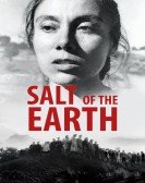 Salt of the Earth poster