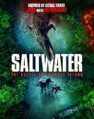 Saltwater: The Battle for Ramree Island Free Download