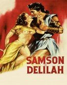 Samson and Delilah Free Download