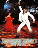 Saturday Night Fever Free Download