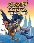 poster_scooby-doo-batman-the-brave-and-the-bold_tt7578566.jpg Free Download