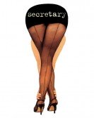 Secretary Free Download