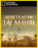 Secrets of the Taj Mahal poster
