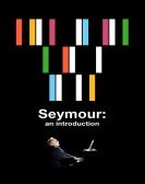 Seymour: An Introduction Free Download
