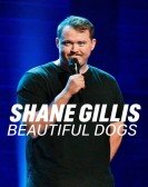 Shane Gillis: Beautiful Dogs Free Download