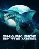 Shark Side of the Moon Free Download