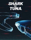 Shark vs. Tuna Free Download