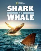 Shark Vs. Whale Free Download