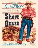 Short Grass poster