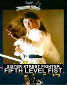 Sister Street Fighter: Fifth Level Fist Free Download