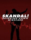Skandal! Bringing Down Wirecard Free Download