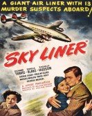 Sky Liner poster