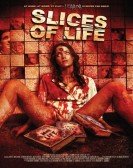 Slices of Life Free Download