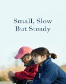 poster_small-slow-but-steady_tt17309864.jpg Free Download
