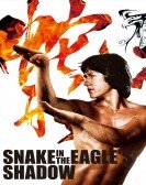 Snake in the Eagle's Shadow (1978) Free Download