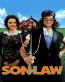 Son in Law Free Download