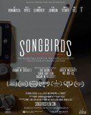 Songbirds Free Download