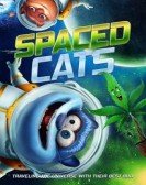 Spaced Cats Free Download
