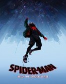 Spider-Man: Into the Spider-Verse (2018) Free Download