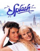 Splash (1984) Free Download