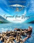 poster_spread-your-wings_tt10204940.jpg Free Download