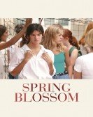 Spring Blossom Free Download