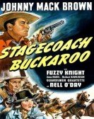 poster_stagecoach-buckaroo_tt0035376.jpg Free Download