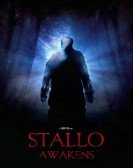 Stallo Awakens Free Download