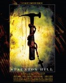 Staunton Hill poster