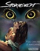 Stormswept poster