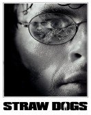 Straw Dogs (2011) poster
