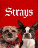 Strays Free Download