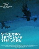 poster_striding-into-the-wind_tt11090178.jpg Free Download