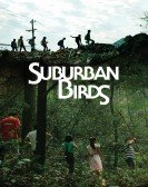 Suburban Birds (2018) Free Download