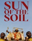 Sun of the Soil Free Download