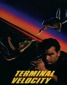 Terminal Velocity poster